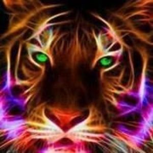 Meet your Posher, Eugene